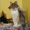 Отзыв от Эльмира Назарова